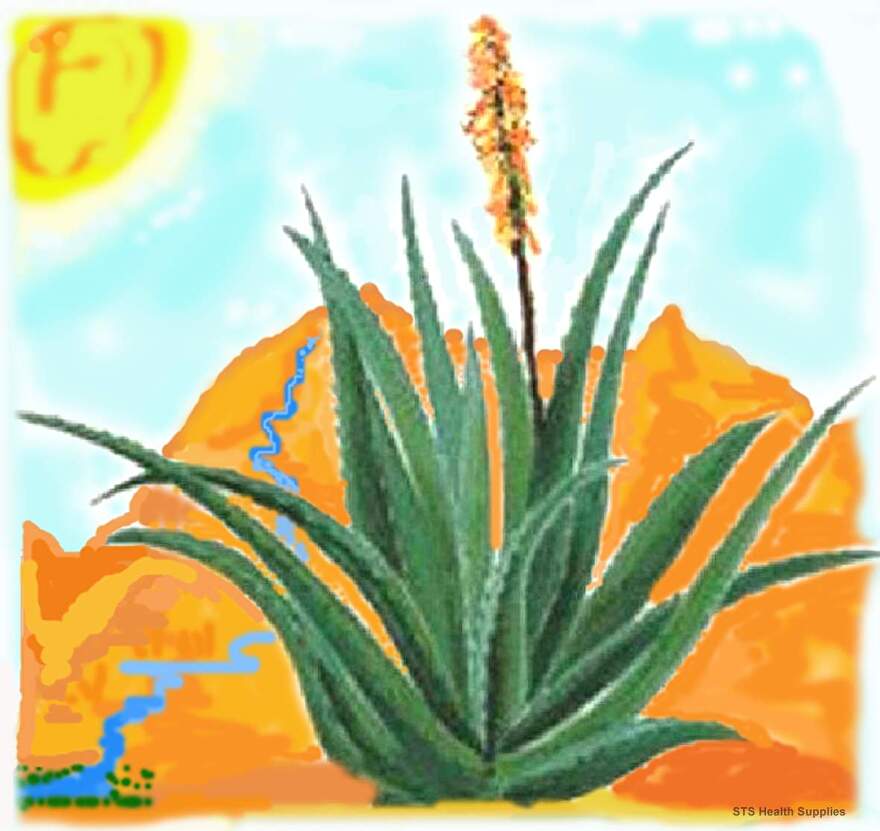 Ecolife Aloe Vera Producten