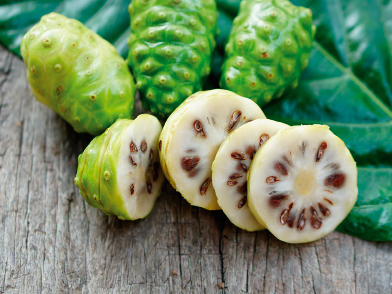 noni vrucht voor noni sap